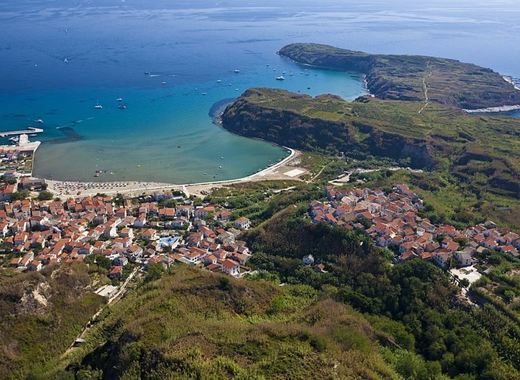 Medium susak