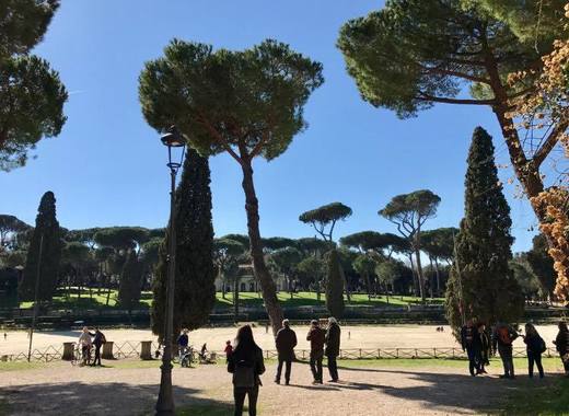 Medium rome