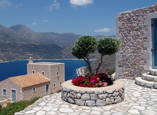 Medium greeceeib
