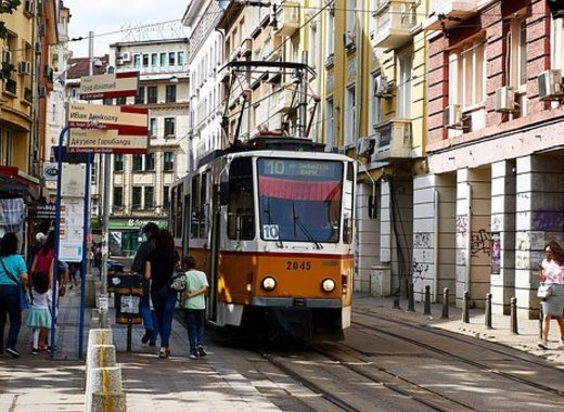 Medium sofia 2400034 340