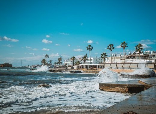 Medium paphos