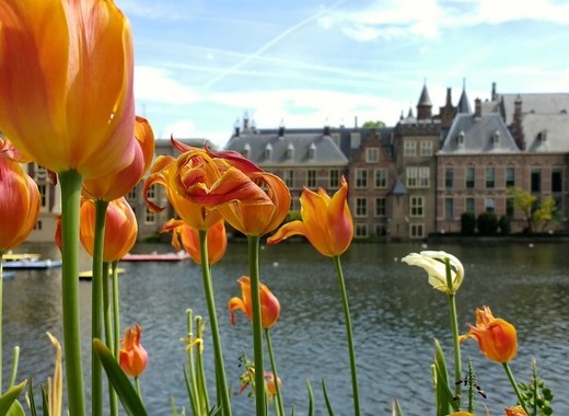 Medium binnenhof 2398654 960 720