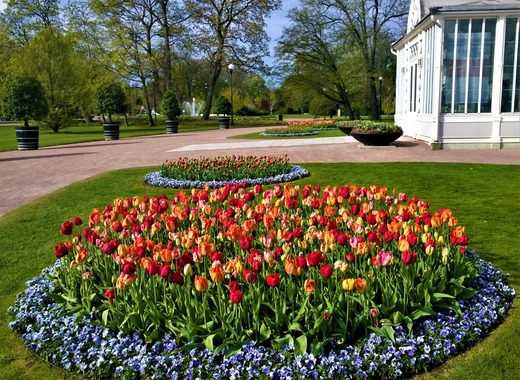 Medium gothenburg
