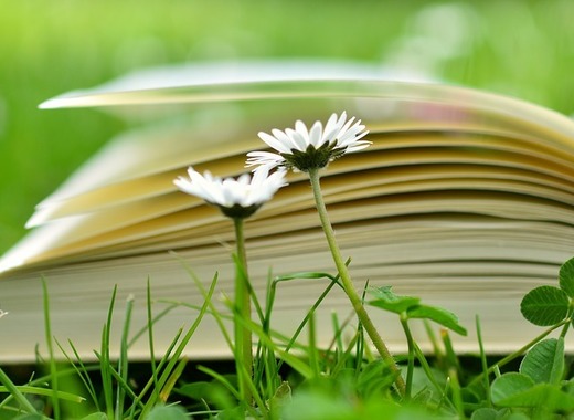 Medium book 2304389 960 720