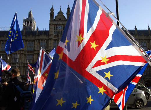 Medium brexit demonstration flags