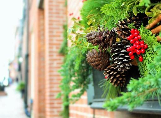 Medium christmas