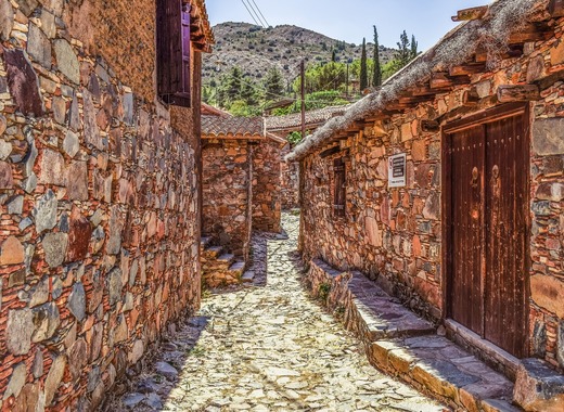 Medium nicosia