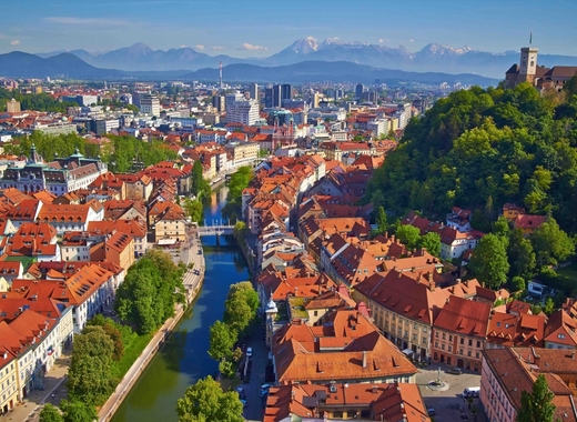 Medium ljubljana made by janez kotar