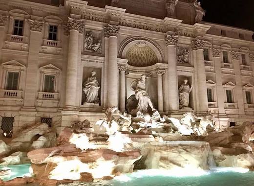 Medium trevi