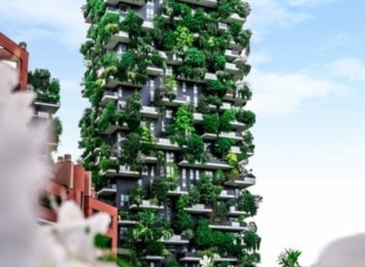 Medium verticalforest