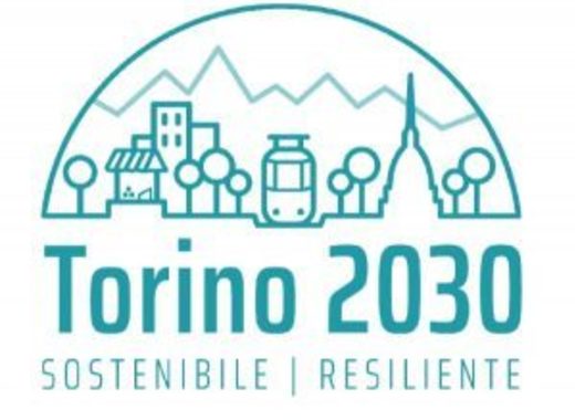 Medium torino