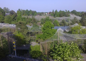 Thumb 8935717049 4cfb577e93 k