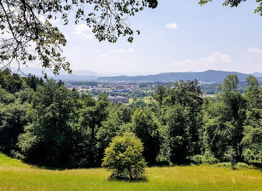 Medium ljubljana 4375777 1280