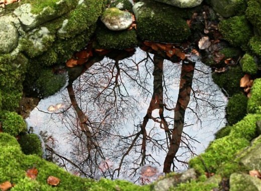 Medium nature 254951 340