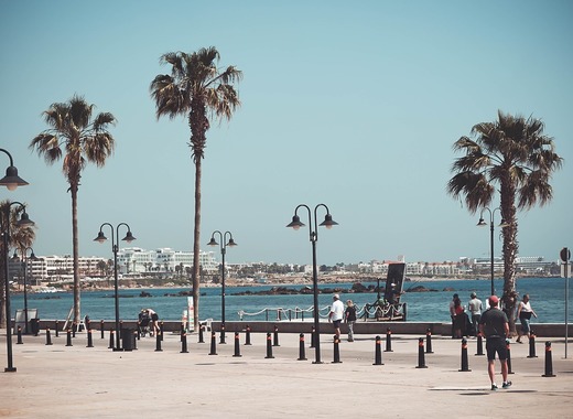Medium cyprus 4906097 1280