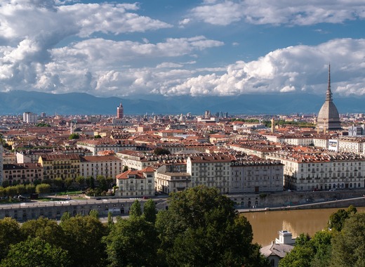 Medium turin