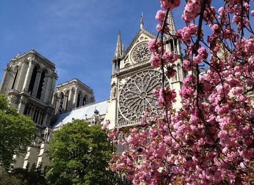 Medium france 2576939 340