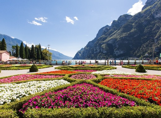 Medium trento