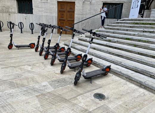 Medium pescara