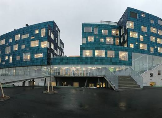 Medium cis copenhagen international school