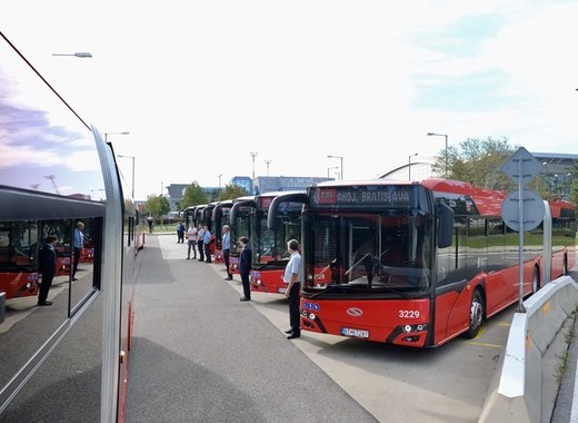 Medium bratislava buses