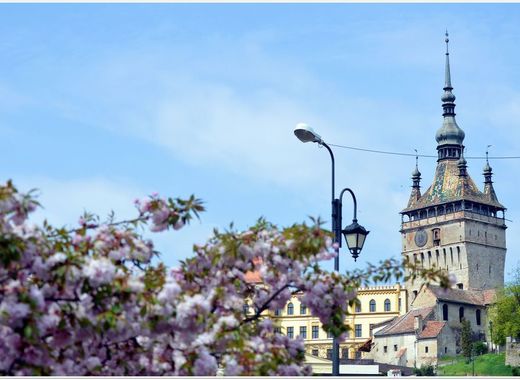 Medium sighisoara1