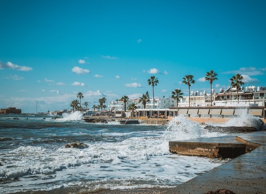 Medium cyprus 4135015 1280