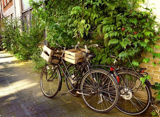 Medium bicycles 1525146 960 720