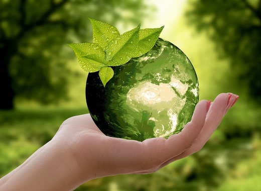 Medium nature 3289812 960 720