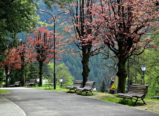 Medium city szczawnica 1089806 960 720