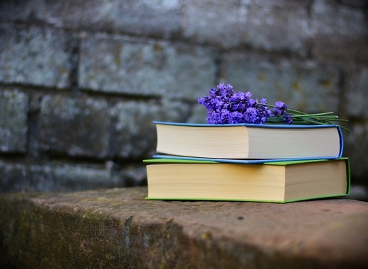 Medium books 2420232 960 720
