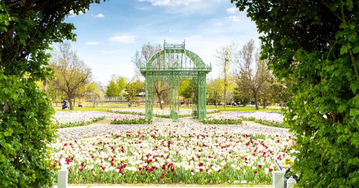 Spring is in the air: Hirschstetten flower garden is getting ready for visitors