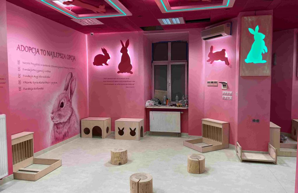 The first rabbit caf of Europe opens doors in Krakow TheMayor.EU
