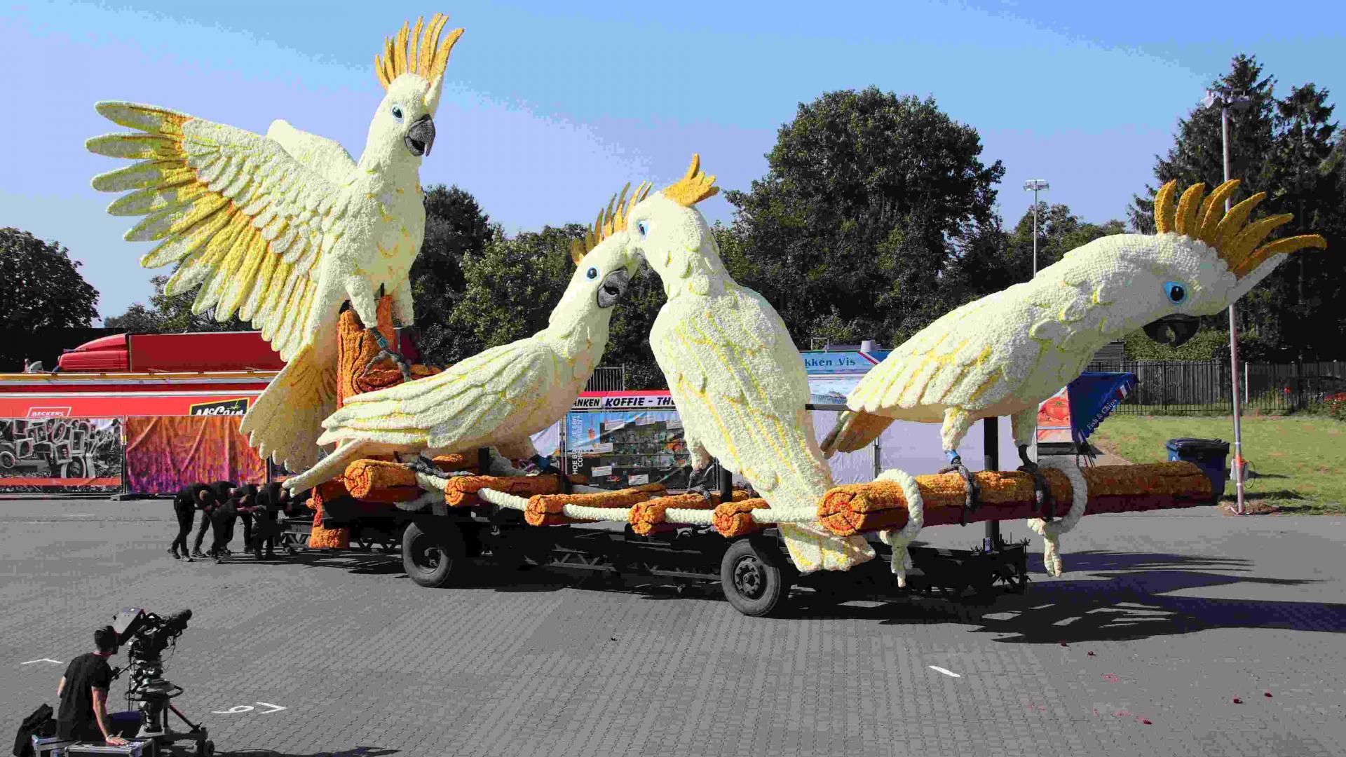 Largest flower parade in the world to take place next month TheMayor.EU