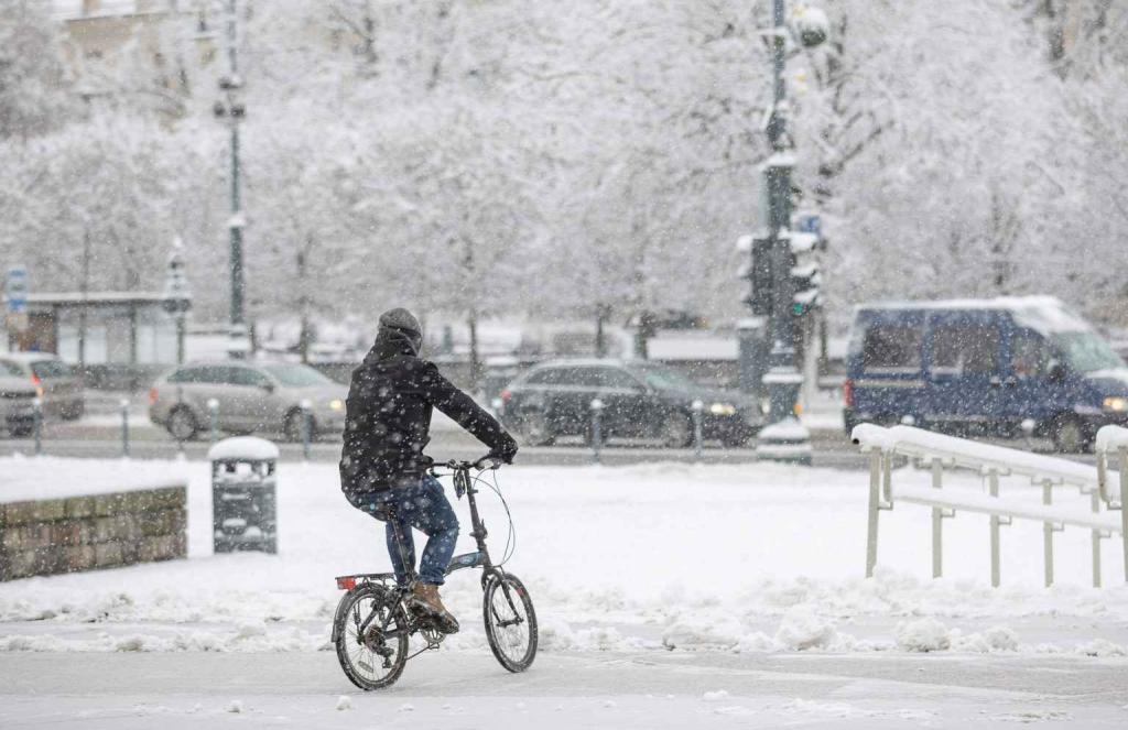 Rain or snow: Vilnius AI thermal sensors count the traffic flow ...