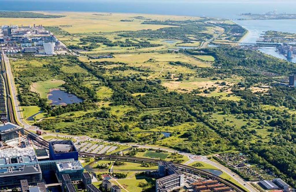 Amager Nature Park from savannah, dense woods and salt marshes to lakes and canals with frogs and snakes
