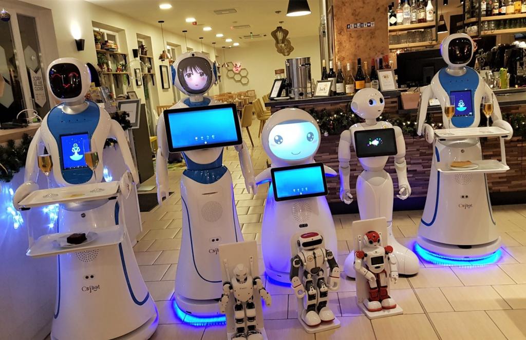 gyógynövények terület műanyag a robot budapest kar élelmiszerbolt