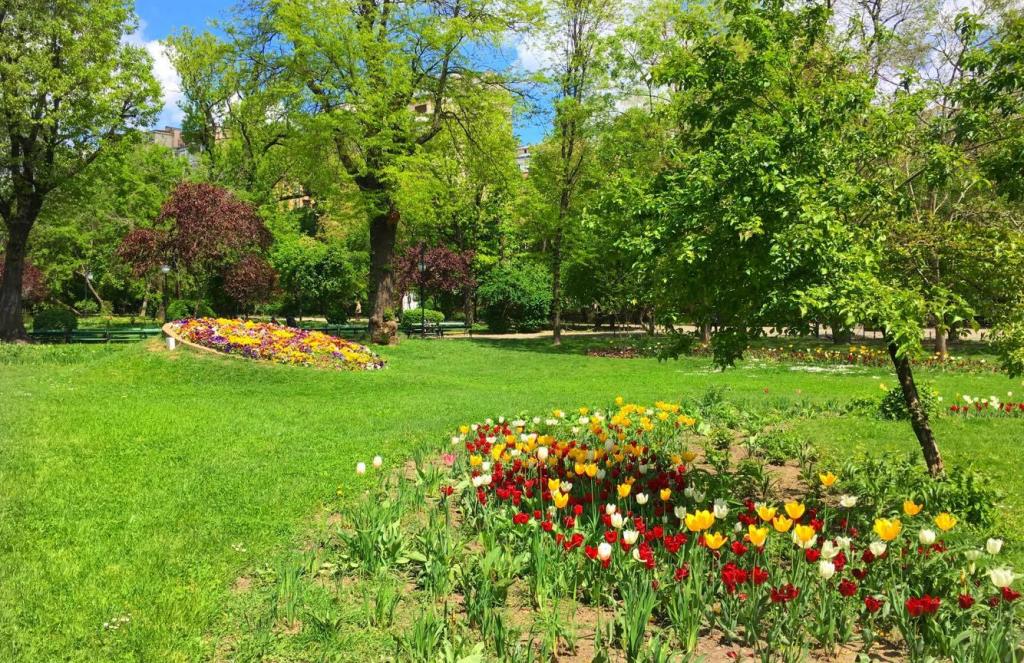 Cismigiu Gardens The Idyllic Must visit Park In Bucharest
