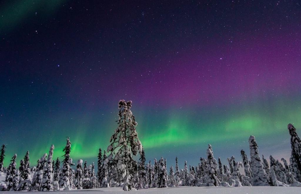 Discover Levi – the ski resort in Finland |