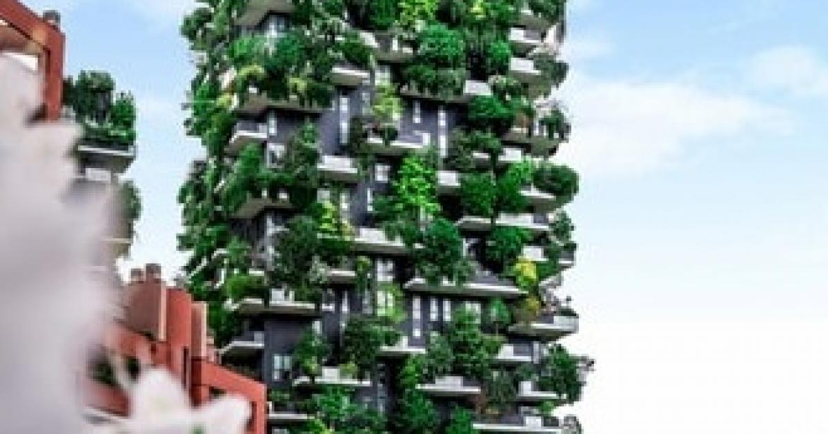 Meet the 59 Tree Cities of