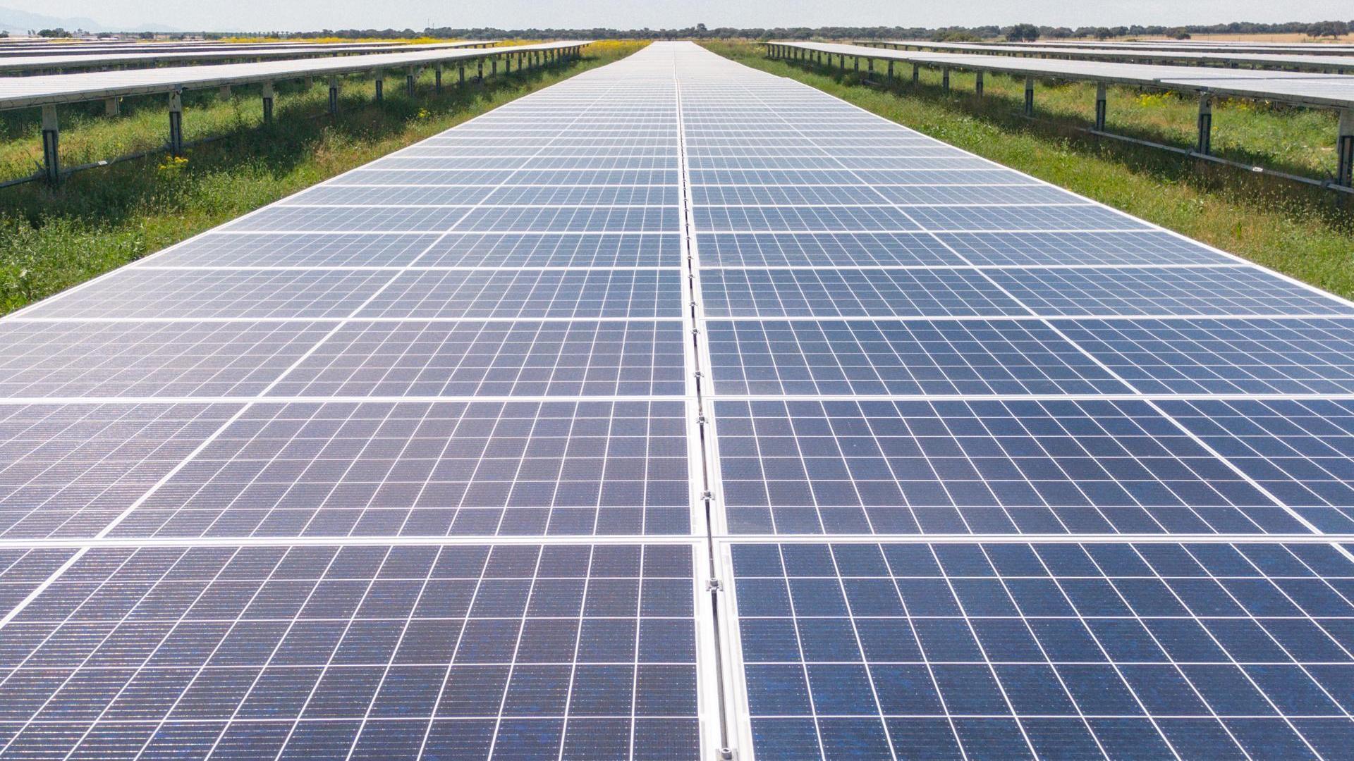 The EU climate bank contributes to the largest solar project in The EU climate bank contributes to the largest solar project in