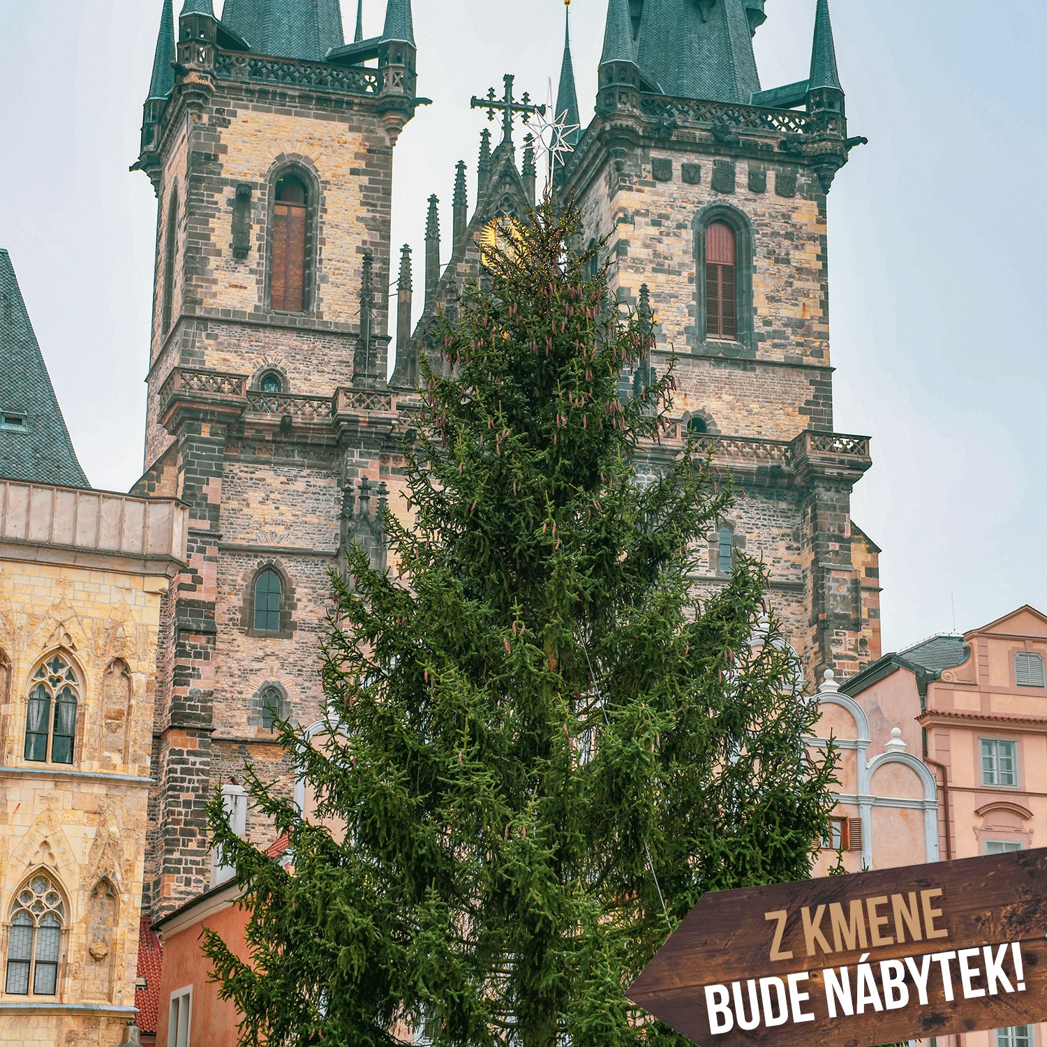 Prague Christmas trees to become furniture in social facilities