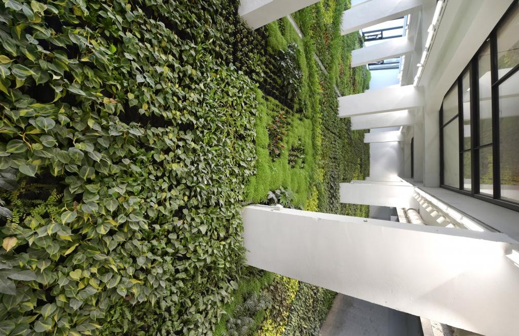 Santander Boasts The Largest Indoor Vertical Garden In Europe Themayor Eu Largest Indoor Vertical Garden, Vertical Garden Indoor
