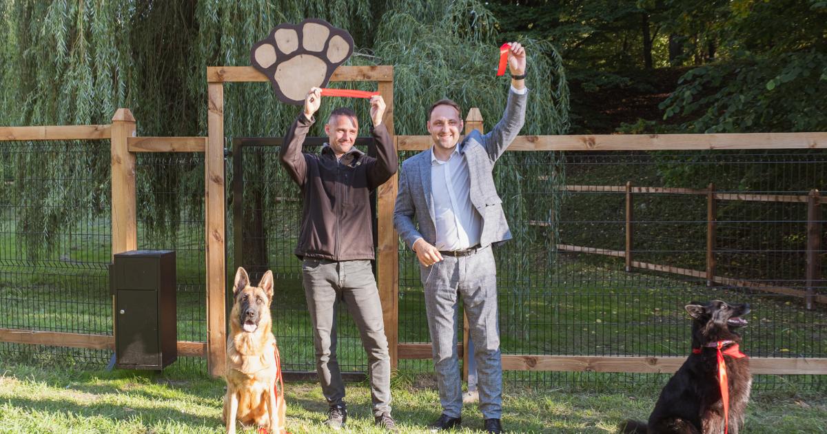 Keturkojai alytiškiai įgyja naują žaidimo erdvę