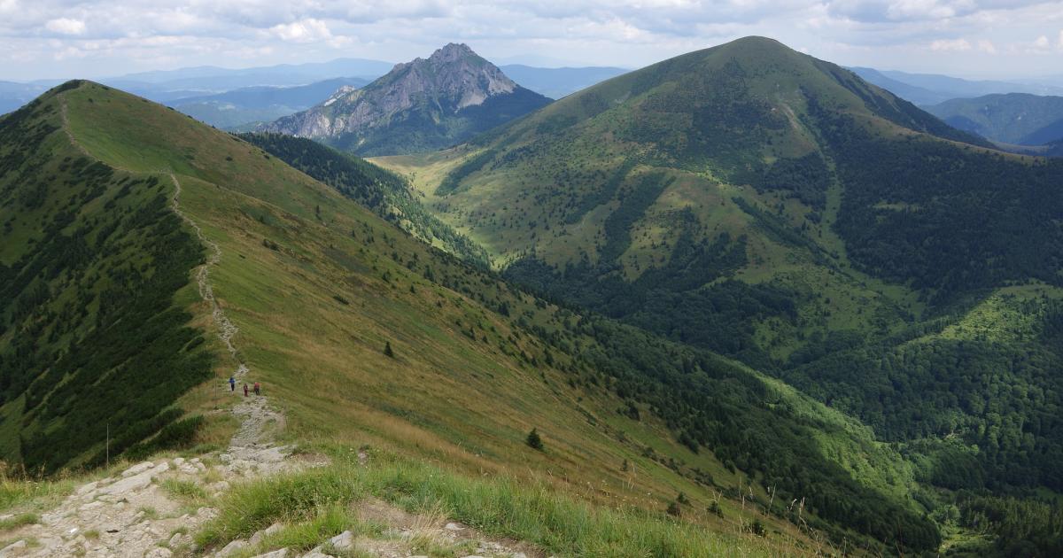 Photo of Na Slovensku zriadená prírodná rezervácia Veľký Bukovec