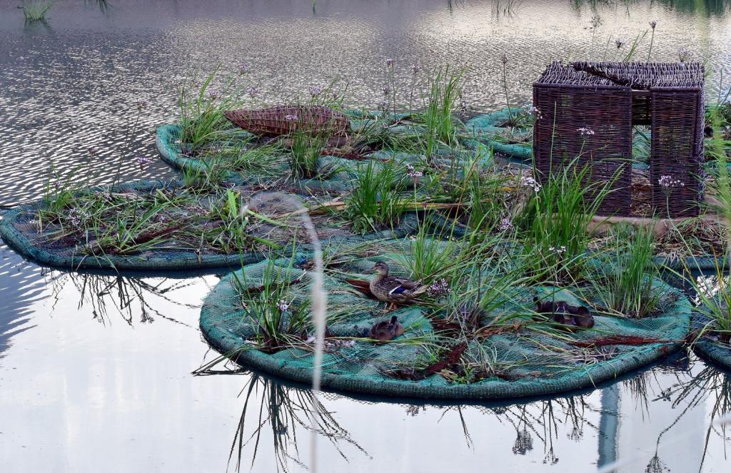 More floating gardens will protect wildlife in Poznan TheMayor.EU