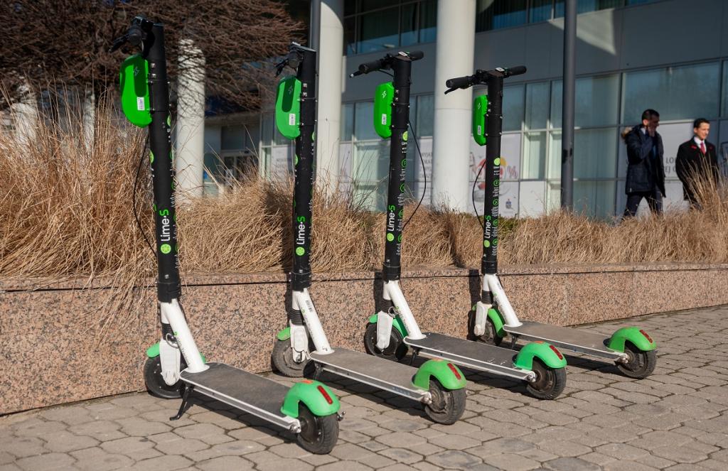 Vaak Montgomery Erger Maken Scooter Polen Afslachten Vorst Schuur Vaak Montgomery Erger Maken Scooter Polen Afslachten Vorst Schuur