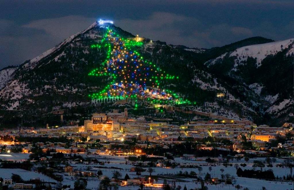 World’s largest Christmas tree will soon shine bright TheMayor.EU
