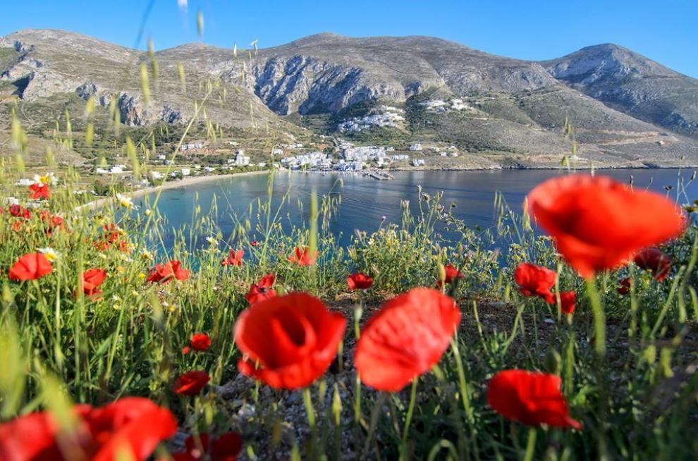 Eleftherios Karaiskos