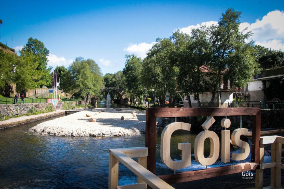 Maria de Lurdes de Oliveira Castanheira